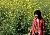 Charming lady at Ramnagar mustard field by drvbose.  Tags: Uttar Pradesh, Varanasi, Uttarakhand, Ramnagar.
