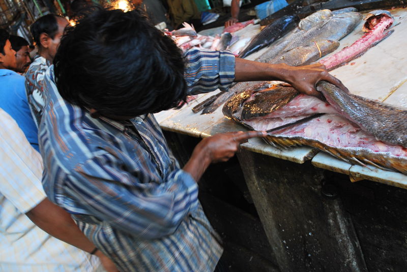Fish Market, Kolkata. India Travel Forum