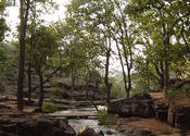 On our way to Bee fall (pachmarhi) by devrishi.  Tags: Pachmarhi, Madhya Pradesh, Landscapes.