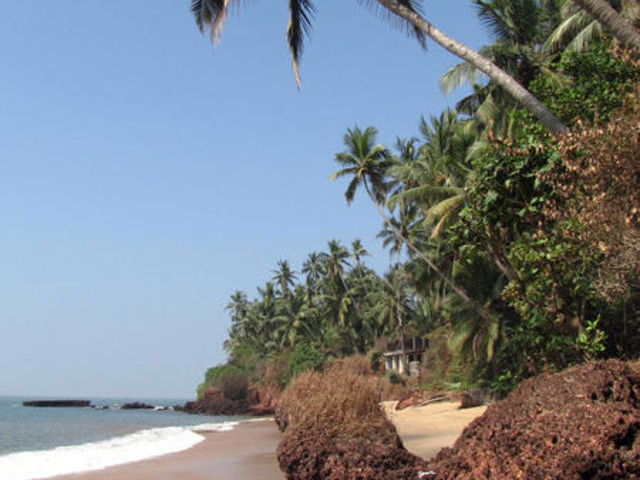 Beach near Kannur: Beach at the Costa Malabari guesthouse Beach near Kannur: Beach at the Costa Malabari guesthouse