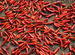 Chilli's in Goa