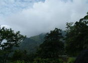 wayanad by arunfox.  Tags: Wayanad, Kerala.