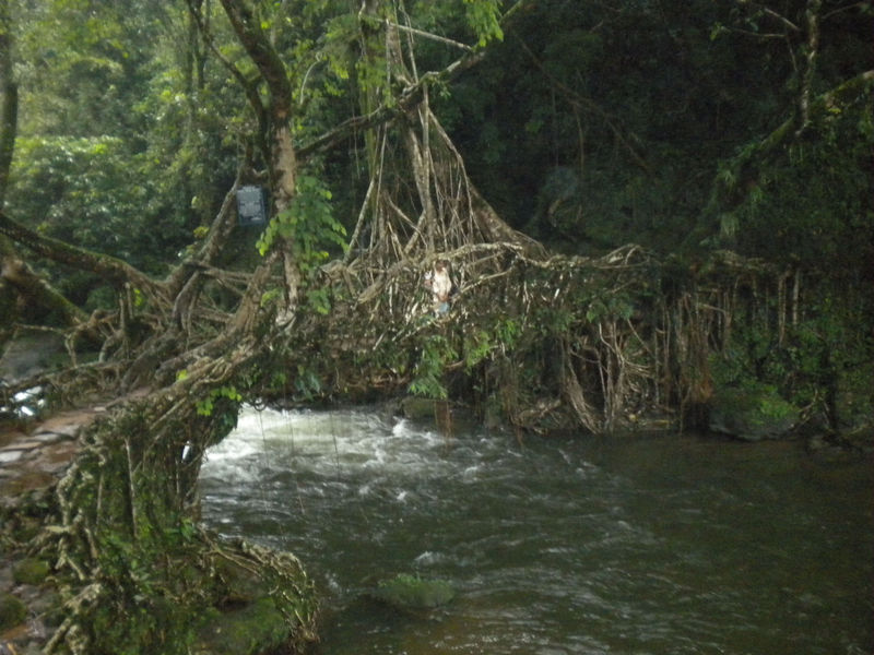 Shillong Trip Mawlynnong India Travel Forum