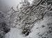 Snowfall enroute to Pindari