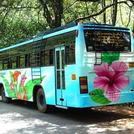Floral painted Tamil Nadu tourbus1: Floral painted Tamil Nadu tourbus1