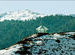 Jan 2013 - First visit to Gharwal Himalayas - Auli