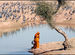 Woman at a pond in the desert Thar