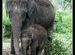 Mummy And Baby !!