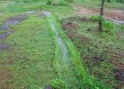 Monsoon Streamlet at Manipal by ebby.  Tags: Manipal, Karnataka.