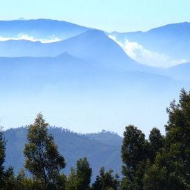 The Blue Mountains: The Blue Mountains