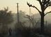 smoky evening walk