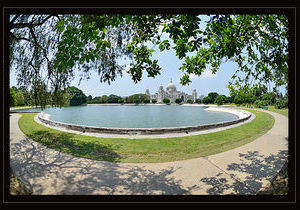 Spring in Kolkata ...............
