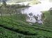 A post monsoon  Drive to Munnar.......