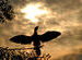 Beautiful Morning...........Good Morning IndiaMikers