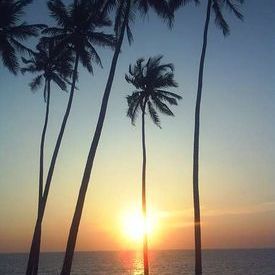 Goa sunset: Goa sunset
