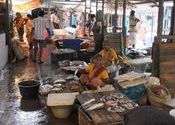 Chidambaram, market by vonkla.  Tags: Chidambaram, Tamil Nadu.