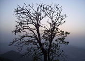 Dusk at Saputara by Dipanjan.  Tags: Saputara, Gujarat, Landscapes, dusk.