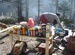 Stall is in Yumthang Valley