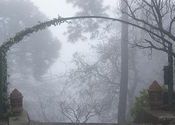 Fog. by noisulli.  Tags: Himachal Pradesh, Kasauli.