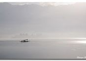 Dal Lake, Srinagar by Nilangsu.  Tags: Jammu and Kashmir, Kashmir, Srinagar, Dal Lake, Lakes.