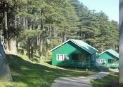 JKTDC Huts at Patnitop by NeerajChaudhary.  Tags: Jammu and Kashmir, Patnitop.