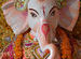 Navaratri