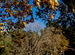 Ranikhet