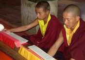 Monks in Training by Larry