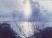 The  Ganges