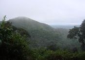 Monsoon at Manipal by ebby.  Tags: Manipal, Karnataka, Landscapes.