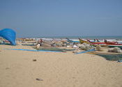 Beach near Nellore by vonkla.  Tags: Nellore, Andhra Pradesh, beach.