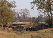 did constable go to India? by woodlouse.  Tags: Kanha, Madhya Pradesh, washing, Landscapes.