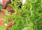 Peek a boo by Rollins.  Tags: Hosur, Tamil Nadu, People and Faces.