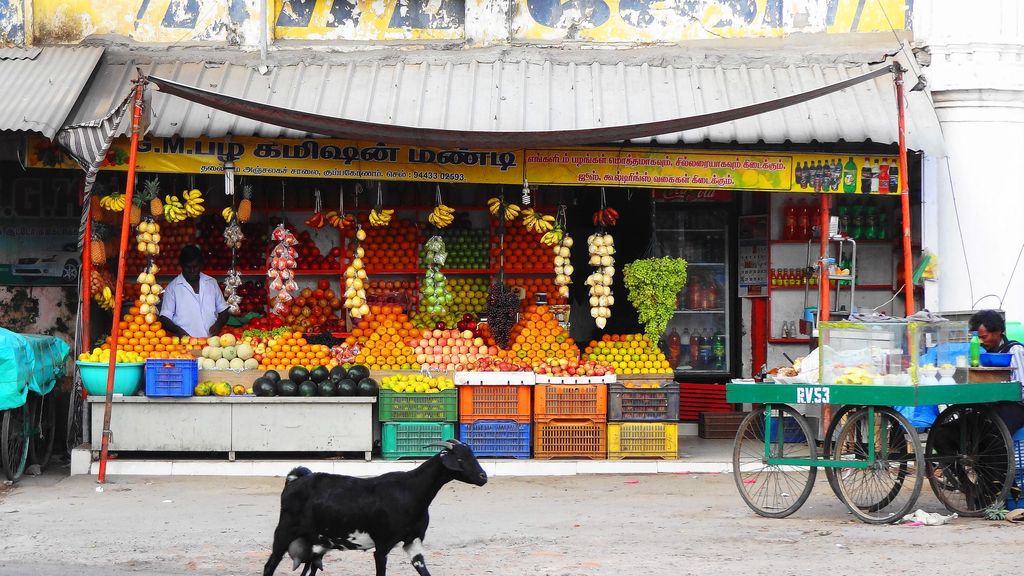 Kumbakonam Fruit Stand India Travel Forum
