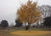 A beautiful sight  by prince09.  Tags: Jammu and Kashmir, Srinagar, Kashmir, beautiful.