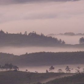 Surreal early morning view @ Chinnakanal nr Munnar, Kerala: Surreal early morning view @ Chinnakanal nr Munnar, Kerala