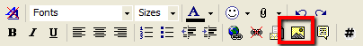 Inserting an Image in a Form