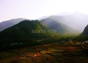 Bhutan Landscape by samya.indya.  Tags: Bhutan, paro.