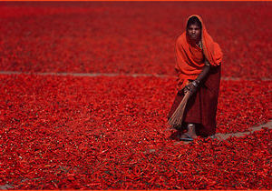 Red Hot Chili Sweeper