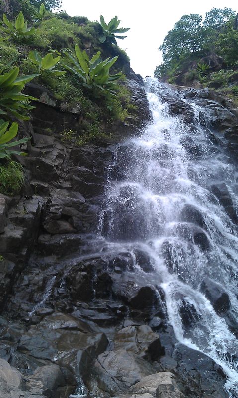 Jaldhara Waterfall, Ratanmahal Bear Sanctuary - India Travel Forum