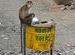 Cleanliness Conscious!