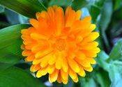 :) by Fundoo.  Tags: keylong.
