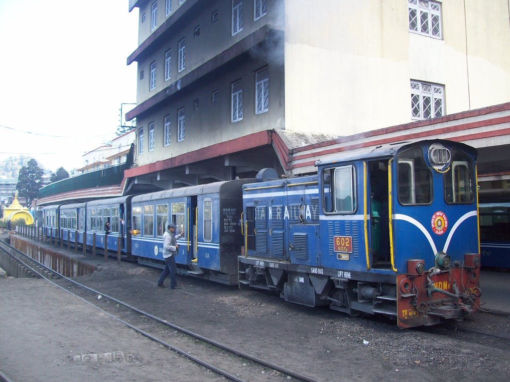 Toy Train at Ghoom Darjeeling India Travel Forum