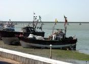 Fishing boat by indiamike.  Tags: Diu, Daman and Diu, City Life, fishing.