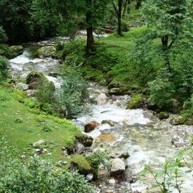Roopkund Trek - A stream near Wan: Roopkund Trek - A stream near Wan Roopkund Trek - A stream near Wan: Roopkund Trek - A stream near Wan