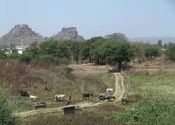 Around Rajnandgaon by vonkla.  Tags: Chhattisgarh, rajnandgaon.