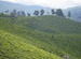 Munnar