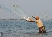 Net Fisherman by Lou Wilson.  Tags: Food in India, fisherman, Lake Chilika.