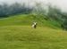 Roopkund Trek - Approach to Ali Bugyal Zero Point