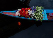 Flowers in the boat by Chetan Kulkarni.  Tags: Jammu and Kashmir, Srinagar, flowers.